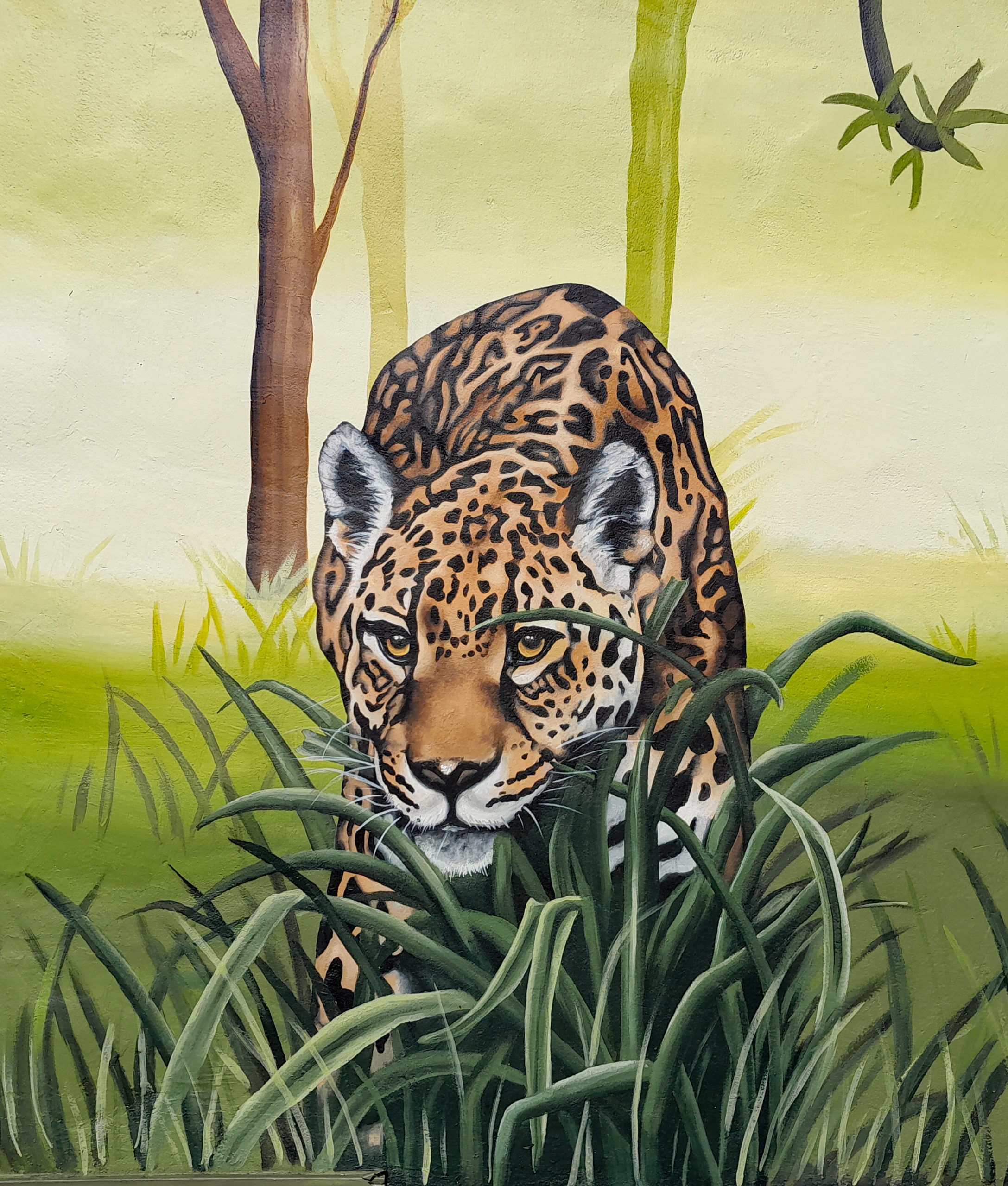 fresque, peinture, décor, art, extérieur, amazonie, guyane, forêt, jungle, tamarin, jaguar, serpent, perroquet, paresseux, toucan, denrobate, grenouille, rose de porcelaine, oiseau du paradis, palmier, bananier, feuilles, herbe, vert, jaune, lianes