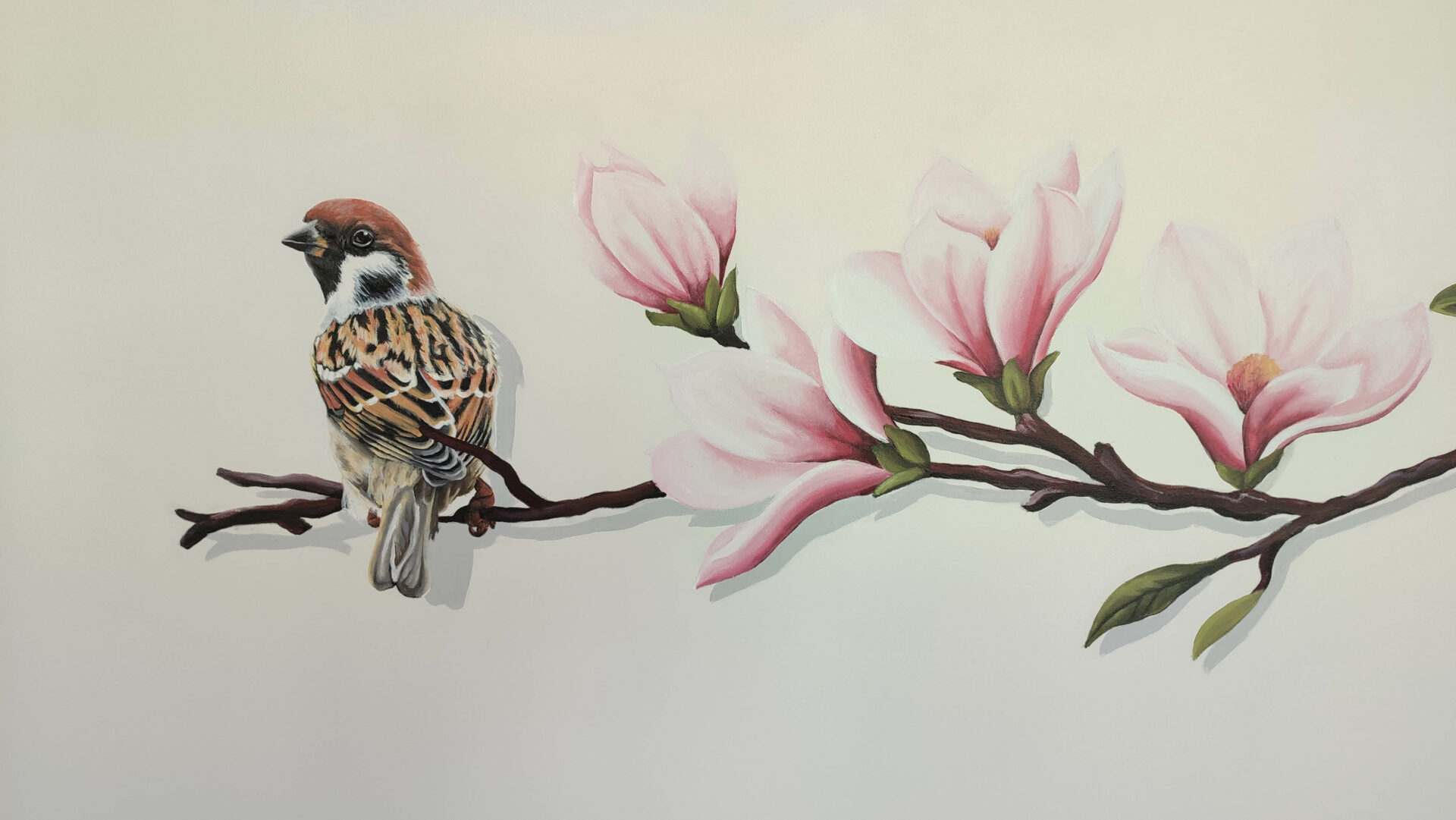 hey, magnolia, soiseau, papillon, moineau, rouge gorge, colombe, peinture, decor, fresque rose, feuille branche